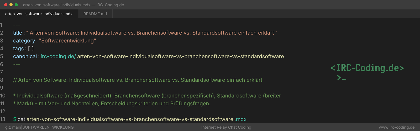 Software Types: Custom vs Industry vs Standard