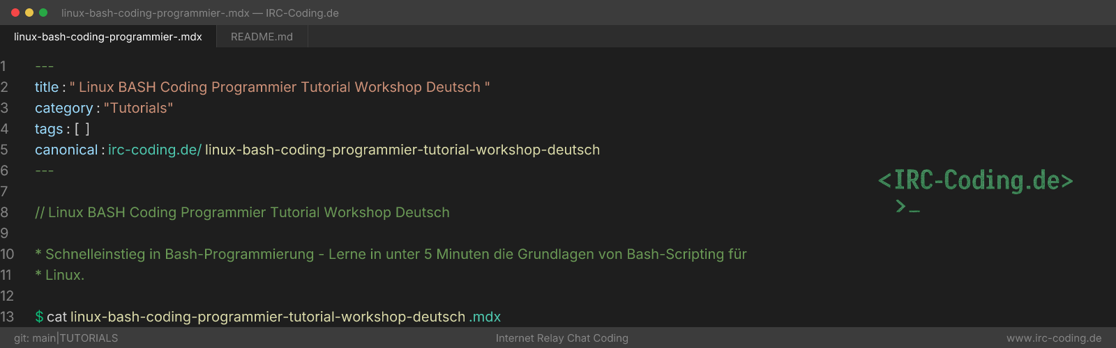 Linux BASH Coding Programmier Tutorial Workshop Deutsch