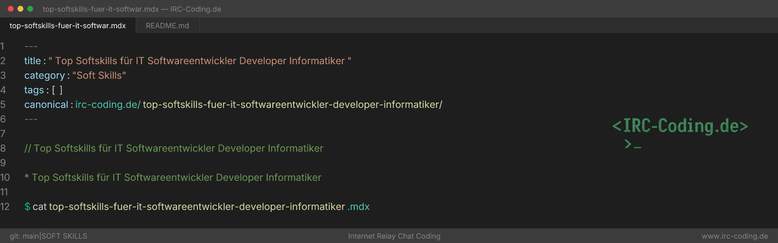 Top Softskills für IT Softwareentwickler Developer Informatiker